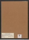 Grammatophora marina (Lyngb.) Kuetz. (de-Toni-Nr.: Genus 93, Species 3030) Zeichnungen Sammlung Grunow Mappe 03208 (Herbarium_W_Grunow_drawings_Folder_03208)